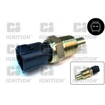 Sonde de température, liquide de refroidissement QUINTON HAZELL XEMS255