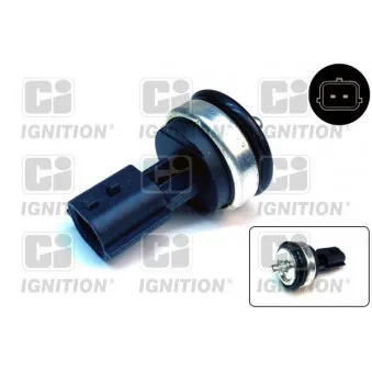 Sonde de température, liquide de refroidissement QUINTON HAZELL XEMS260