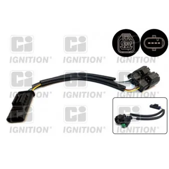 Faisceau adaptateur du thermostat QUINTON HAZELL