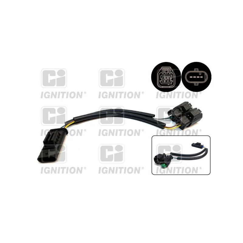 Faisceau adaptateur du thermostat QUINTON HAZELL XEMS282
