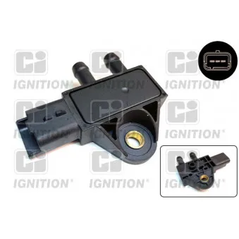Capteur, pression des gaz échappement QUINTON HAZELL XEPS111