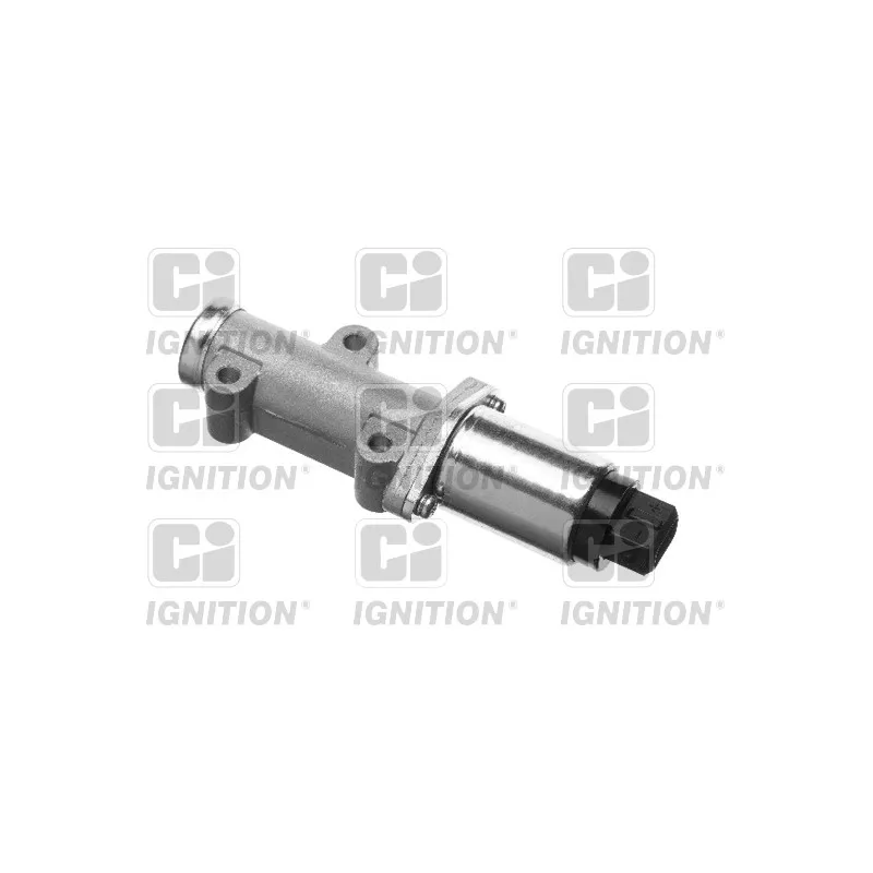 Controle de ralenti, alimentation en air QUINTON HAZELL XICV12