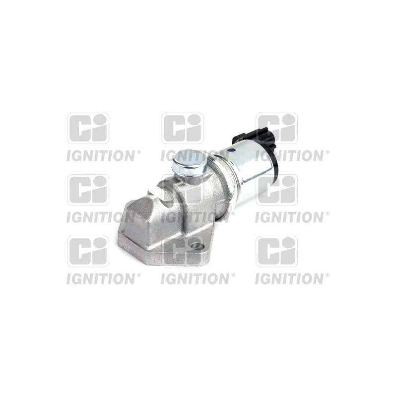 Controle de ralenti, alimentation en air QUINTON HAZELL XICV13