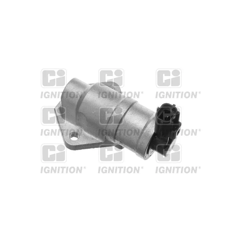 Controle de ralenti, alimentation en air QUINTON HAZELL XICV19