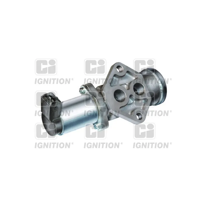 Controle de ralenti, alimentation en air QUINTON HAZELL XICV39