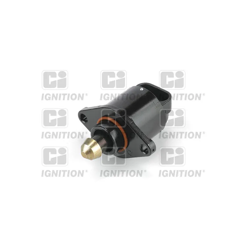 Controle de ralenti, alimentation en air QUINTON HAZELL XICV53