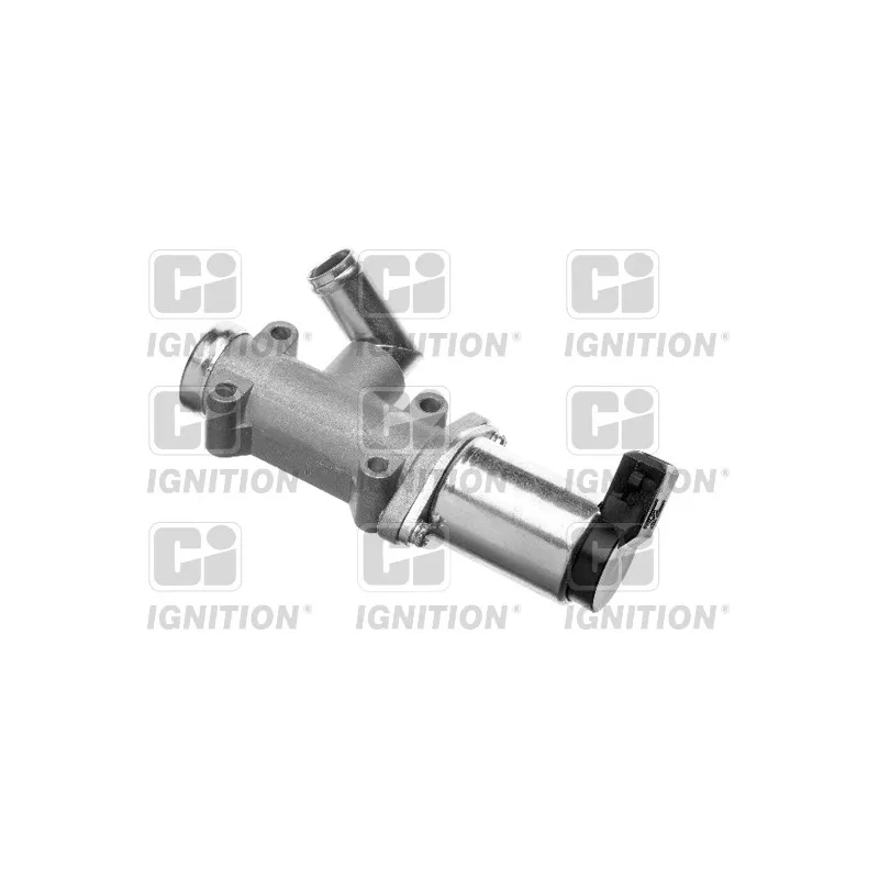 Controle de ralenti, alimentation en air QUINTON HAZELL XICV9