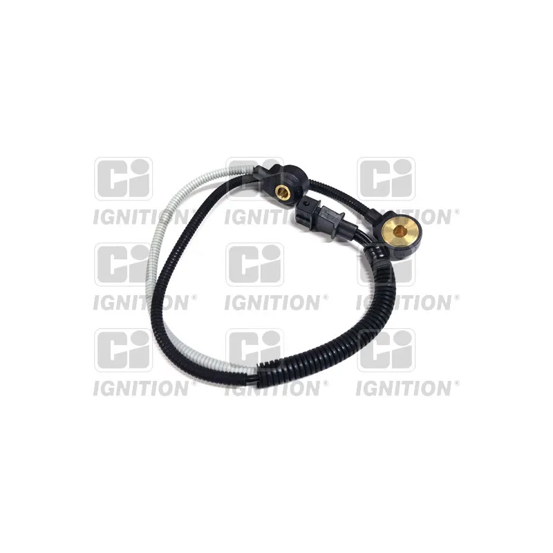 Capteur de cognement QUINTON HAZELL XKS69