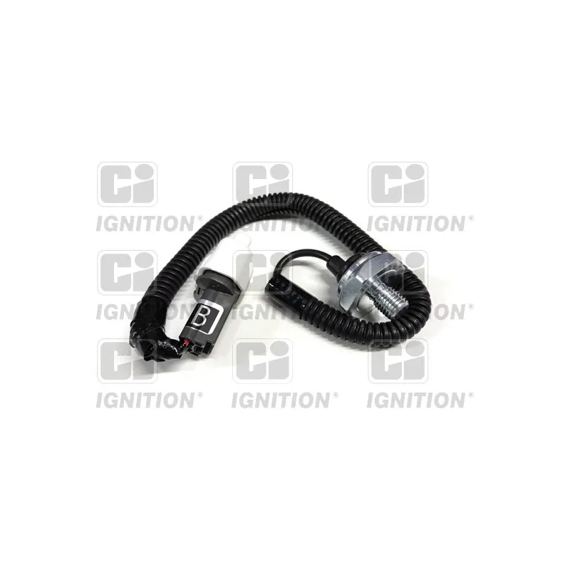 Capteur de cognement QUINTON HAZELL XKS86