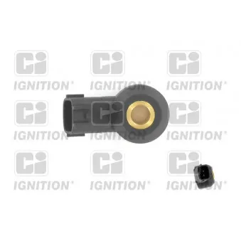 Capteur de cognement QUINTON HAZELL XKS95