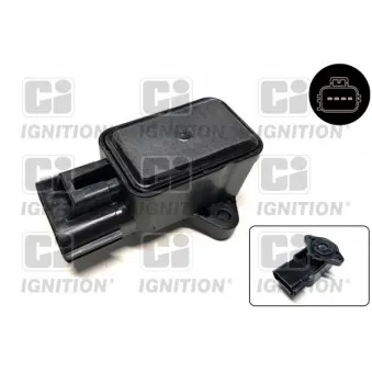 Capteur, position du papillon QUINTON HAZELL XPOT401
