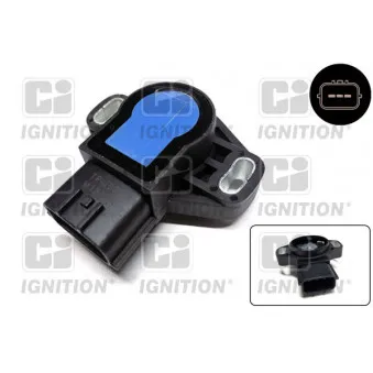 Capteur, position du papillon QUINTON HAZELL XPOT417
