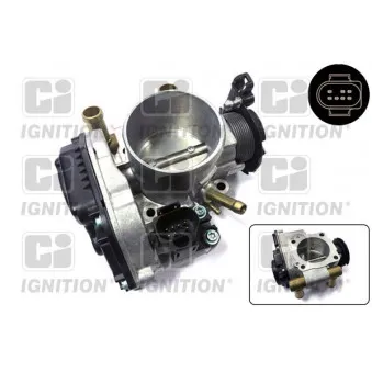 Corps papillon QUINTON HAZELL XPOT447