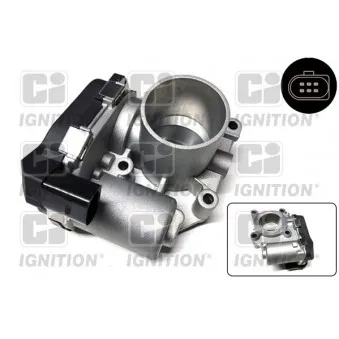 Corps papillon QUINTON HAZELL XPOT484