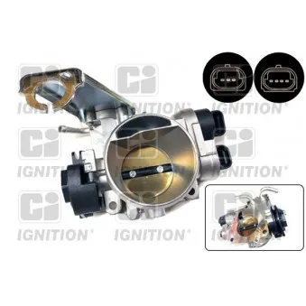 Corps papillon QUINTON HAZELL XPOT488