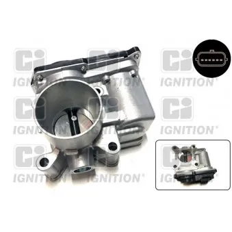 Corps papillon QUINTON HAZELL XPOT497