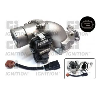 Corps papillon QUINTON HAZELL XPOT536