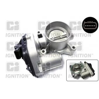 Corps papillon QUINTON HAZELL XPOT606