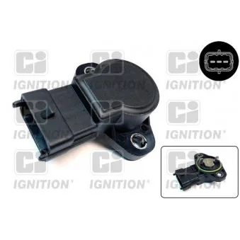 Capteur, position du papillon QUINTON HAZELL XPOT628