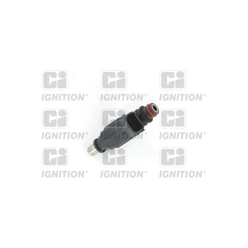 Porte-injecteur QUINTON HAZELL XPSI33