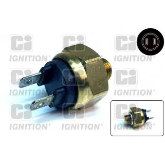 Contact thermique, voyant avertisseur de l'agent réfrigérant QUINTON HAZELL XTS40