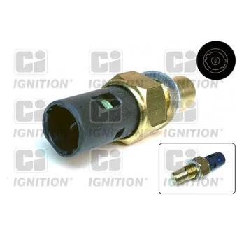 Contact thermique, voyant avertisseur de l'agent réfrigérant QUINTON HAZELL XTS45