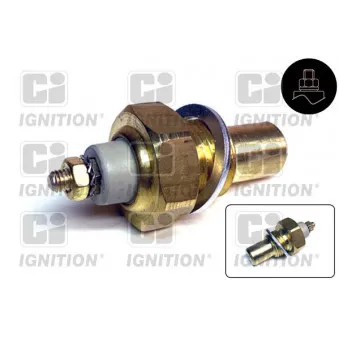 Contact thermique, voyant avertisseur de l'agent réfrigérant QUINTON HAZELL XTS46