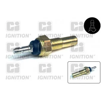 Sonde de température, liquide de refroidissement QUINTON HAZELL XTT10