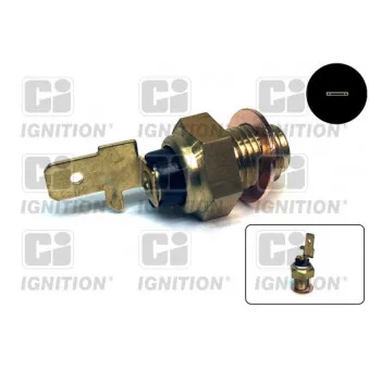 Sonde de température, liquide de refroidissement QUINTON HAZELL XTT103