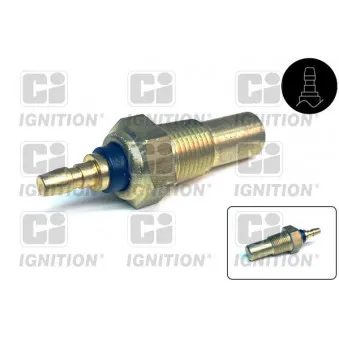 Sonde de température, liquide de refroidissement QUINTON HAZELL XTT108