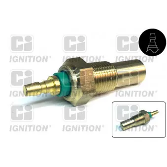 Sonde de température, liquide de refroidissement QUINTON HAZELL XTT109