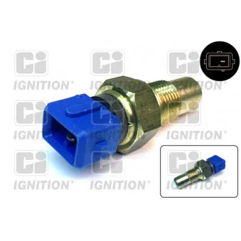Sonde de température, liquide de refroidissement QUINTON HAZELL XTT116