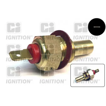 Sonde de température, liquide de refroidissement QUINTON HAZELL XTT12