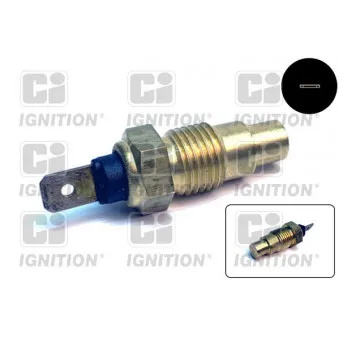 Sonde de température, liquide de refroidissement QUINTON HAZELL XTT124