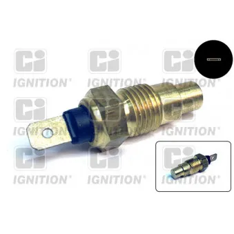 Sonde de température, liquide de refroidissement QUINTON HAZELL XTT125