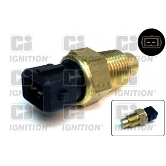 Sonde de température, liquide de refroidissement QUINTON HAZELL XTT126