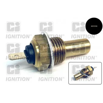 Sonde de température, liquide de refroidissement QUINTON HAZELL XTT13