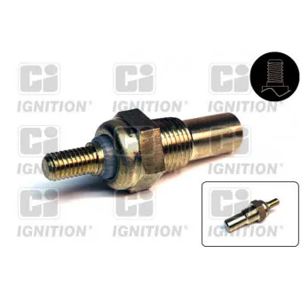 Sonde de température, liquide de refroidissement QUINTON HAZELL XTT14