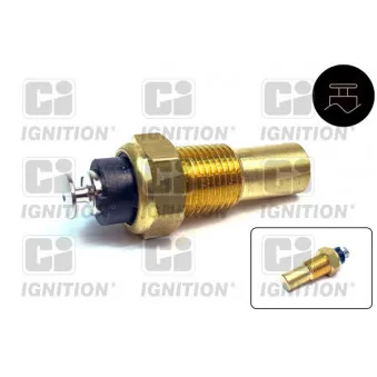 Sonde de température, liquide de refroidissement QUINTON HAZELL XTT141