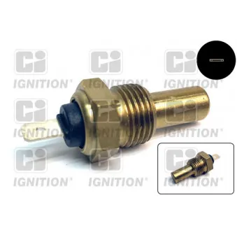 Sonde de température, liquide de refroidissement QUINTON HAZELL XTT15