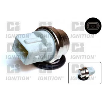 Sonde de température, liquide de refroidissement QUINTON HAZELL XTT156