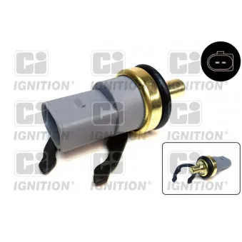 Sonde de température, liquide de refroidissement QUINTON HAZELL XTT159