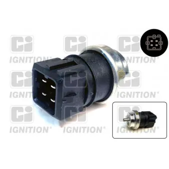Sonde de température, liquide de refroidissement QUINTON HAZELL XTT163