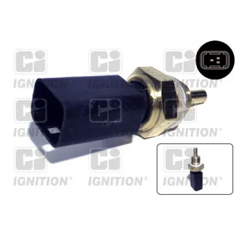 Sonde de température, liquide de refroidissement QUINTON HAZELL XTT164