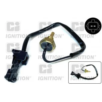 Sonde de température, liquide de refroidissement QUINTON HAZELL XTT165