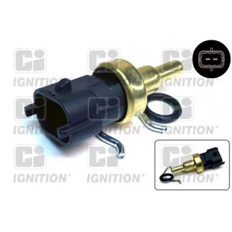 Sonde de température, liquide de refroidissement QUINTON HAZELL XTT219