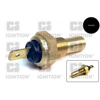 Sonde de température, liquide de refroidissement QUINTON HAZELL XTT22