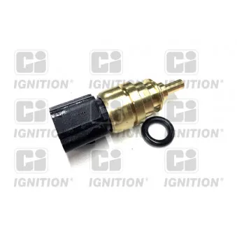 Sonde de température, liquide de refroidissement QUINTON HAZELL XTT226