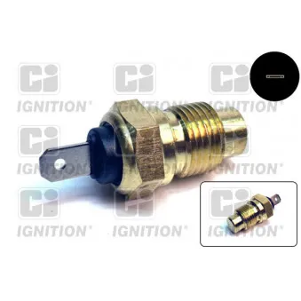 Sonde de température, liquide de refroidissement QUINTON HAZELL XTT28