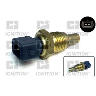 Sonde de température, liquide de refroidissement QUINTON HAZELL XTT41